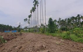 中埔國小旁都計農地09-070