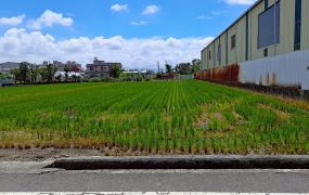 想找一塊1分多農地？這塊在大寮~土地珠寶專才