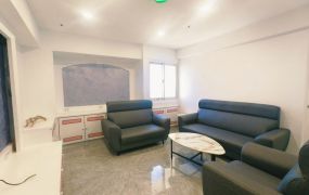 大順路低公設全新3房大樓+車位