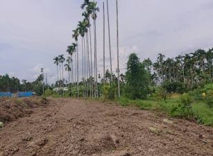 中埔國小旁都計農地09-070