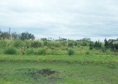 台東成功美農地