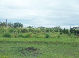 台東成功美農地