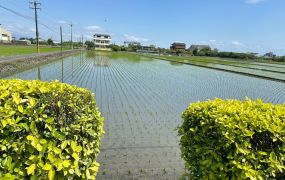 永慶許書豪★梅花湖旁雙面路大地坪配建農地