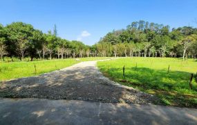 橫山八十分小農地~分管