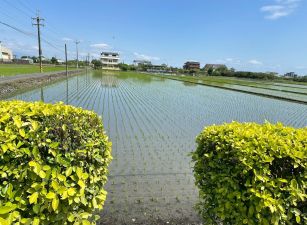 永慶許書豪★梅花湖旁雙面路大地坪配建農地