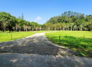 橫山八十分小農地~分管