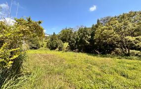 新埔南坪豪景休閒地