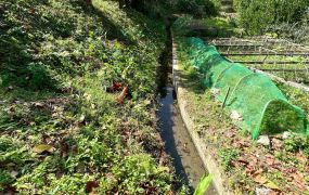 新竹縣峨嵋｜赤柯山｜平坦火龍果園｜243坪｜358萬