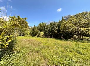 新埔南坪豪景休閒地