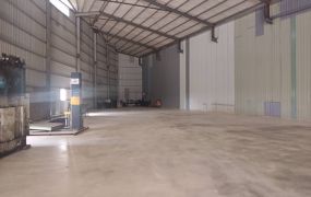 琪琪🐝推~近西濱台61線新屋全新挑高鋼構碼頭倉庫廠