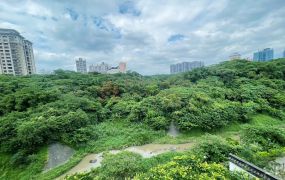 獨家專租｜淡水「台北灣江南環繞綠意景觀四房」