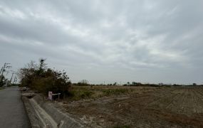 【台南七股】看坪527前後臨路農地