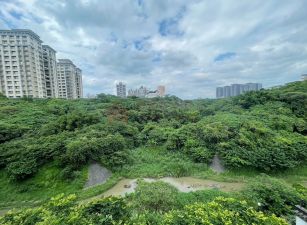 獨家專租｜淡水「台北灣江南環繞綠意景觀四房」