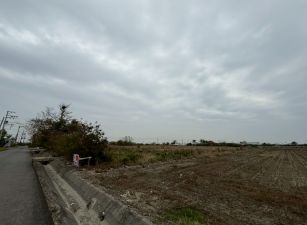 【台南七股】看坪527前後臨路農地