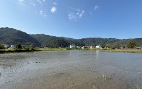 永慶許書豪★大坑段雙面路超大面寬雙足坪農地