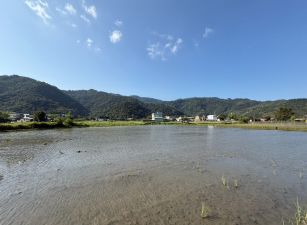 永慶許書豪★大坑段雙面路超大面寬雙足坪農地