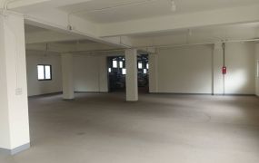 琪琪🐝推~近三鶯交流道鶯歌大腹地工業廠