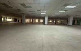 正中壢工業區480坪開放式無隔間可廠登廠房