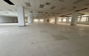 正中壢工業區987坪開放式無隔間可廠登廠房