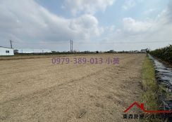 獨賣) 新市大社方正1分半農地