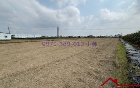 獨賣) 新市大社方正1分半農地