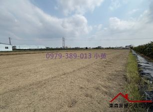 獨賣) 新市大社方正1分半農地