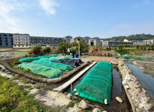 芎林綠獅段增值田