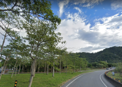 三鶯交流道/面寬/方正工業地 &bull;    新北市工業地廠房買賣/建地/徵收農地/廠房出租