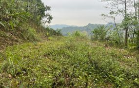 近黃竹國小景觀增值地