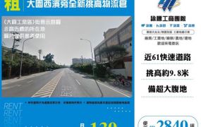 大園西濱旁全新挑高物流倉146