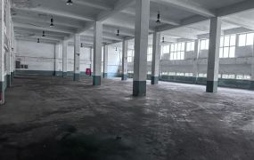 觀音工業區角地挑高RC廠房