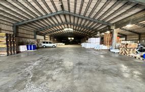 林口交流道/方正挑高廠房&bull;   桃園廠房工業地買賣/建地/徵收農地/廠房出租