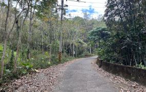 鹿谷近市區商圈景觀投資地