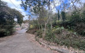 鹿谷近學校公車大景觀農地