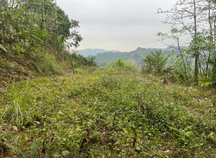 近黃竹國小景觀增值地