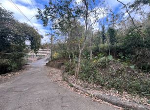 鹿谷近學校公車大景觀農地