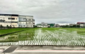 永慶許書豪★永清路清溝國小對面美農地