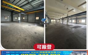 烏樹林氣派大廠房