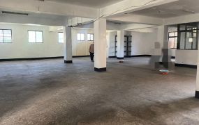 大園工業區腹地RC廠房(FT04885)