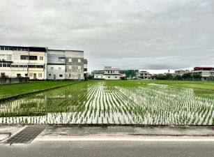 永慶許書豪★永清路清溝國小對面美農地