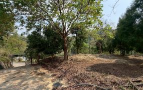 南埔生態村養生休閒農地