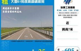 大園61旁挑高鋼構廠房124