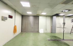 近龜山台1鋼骨挑高5米合法廠房