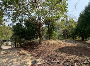 南埔生態村養生休閒農地