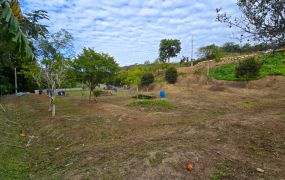 新竹縣北埔｜綠世界後方｜平坦農地｜有水電｜631坪｜798萬