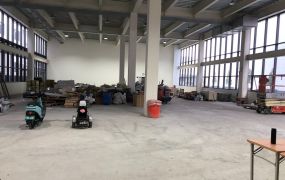 龜山全新挑高1樓廠