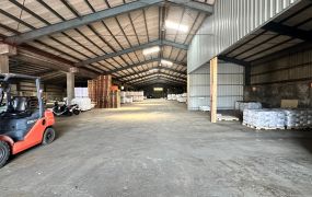 琪琪🐝推~近林口交流道旁挑高腹地廠房