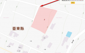 延平鄉永康村農地原保地，土地完整，雙面臨路