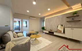 安南產業園區大坪數4房電寓