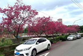 平鎮高中別墅~~近北勢國小&海口蔬果賣場